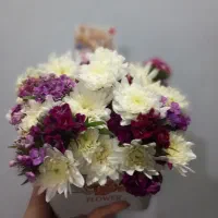 انواع باکس طبیعی|گل و گیاه طبیعی|اهواز, کوی طلاب|دیوار