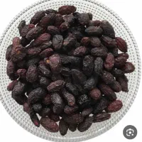 ذغال اخته خشک