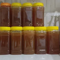 عسل کنار اعلا و درجه یک|خوردنی و آشامیدنی|بندر دیر, |دیوار