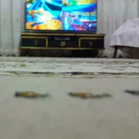 تلویزیون|تلویزیون و پروژکتور|پرند, فاز ۶|دیوار