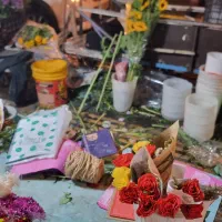 گل های ایرانی و خارجی