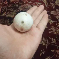 سنگ الماس اسیاب
