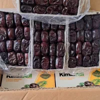 پخش خرما عمده رطب مسافتی مستقیم از بم