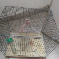 دوعدد قفس پرنده سالم|لوازم جانبی حیوانات|سهند, |دیوار