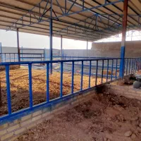 خانه دوبلکس وگاوداری سنتی وزمین باغی|فروش خانه و ویلا|دشتابی, |دیوار