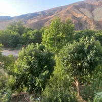 باغ ویلا