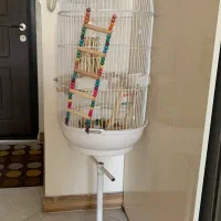 قفس پرنده