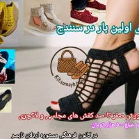 آموزش کفش های مجلسی