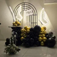 دکورهای تولدکارتونی بزرگسال پرندرباط کریم شهریار