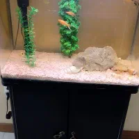 آکواریوم دلسا شرکتی شیشه خم