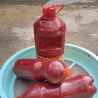 رب گوجه فرنگی