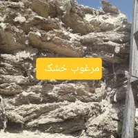 کود مرغ شیراز مرغ|خدمات باغبانی و درختکاری|شیراز, باغ تخت|دیوار