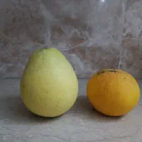 سلطان مرکبات ، پاملو ، دارابی|خوردنی و آشامیدنی|قائم‌شهر, |دیوار