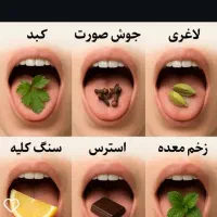طب سنتی