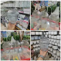 گلدان شیشه ای بامبو خمره شیشه شامپاینی آگلونما ناز