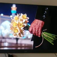 ال ای دی|تلویزیون و پروژکتور|قم, حنیف نژاد|دیوار