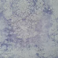 فرش ۱۲۰۰شانه1۲متری