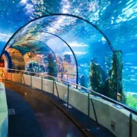 تور ترکیبی قطار5ستاره رشت تا بندر انزلی هتل5ستاره