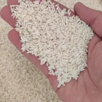 برنج علی کاظمی طارم