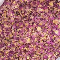 گل محمدی