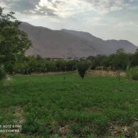 3قطعه باغ در  اسکستان بفروش میرسدمعاوضه باواحدکوچک|فروش زمین و ملک کلنگی|خلخال, |دیوار