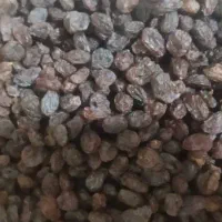 کشمش|خوردنی و آشامیدنی|پاکدشت, پاکدشت (مامازند)|دیوار