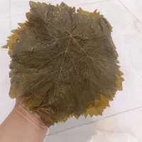 فروش برگ مو|خوردنی و آشامیدنی|اصفهان, مولوی|دیوار