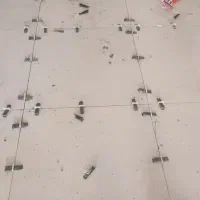 نصب سنگ پله|خدمات پیشه و مهارت|اصفهان, آزادگان|دیوار