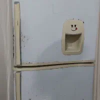 یخچال کاملا سالم