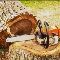 خریدار چوب‌درختان تروخشک باغی و هرس و بیل زنی باغ