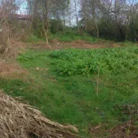 زمین-چهار-دیواری