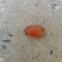 سنگ عقیق یمنی قدیمی، رنگ طبیعی|کلکسیون اشیاء عتیقه|زنجان, |دیوار