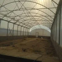 اجاره گلخانه دو سالن مجزا|اجارهٔ دفتر صنعتی، کشاورزی، تجاری|شهریار, دهشاد بالا|دیوار