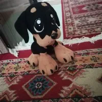 تلفن و اسباب بازی|تلفن رومیزی|گلبهار, شهر جدید گلبهار|دیوار