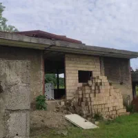 فروش زمین ۴هکتاری تو دل جنگل|فروش زمین و ملک کلنگی|شفت, |دیوار