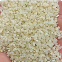 خرده برنج و برنج چمپا