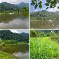 اجاره سالیانه ویلا جنگلی در دل طبیعت|اجارهٔ خانه و ویلا|ماسال, |دیوار