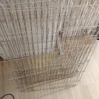 پارک سگ کیف سگ و ...