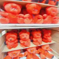 کادویی|اسباب‌‌بازی|اصفهان, پروین|دیوار