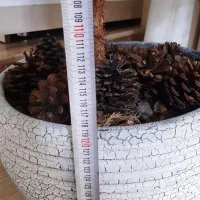 ۴۰۰۰۰۰۰تومان|گل و گیاه طبیعی|مرند, |دیوار