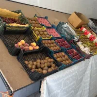 میز میوه