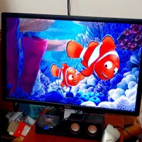 مانیتور حرفه ای کامپیوتر 24 اینچ دل dell طراحی گیم