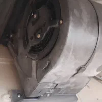 هود|هود|گلستان (تهران), |دیوار