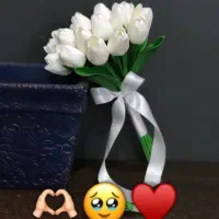 لاله عروس|گل مصنوعی|شوشتر, |دیوار