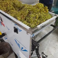 آبغوره و آبلیمو را با دستگاهی بگیریدکه درآمد بسازد
