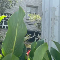 پیش-فروش-فردوسی-شمالی