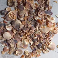 موسیر درجه یک و دو همدان|خوردنی و آشامیدنی|قم, باغ شریفی|دیوار