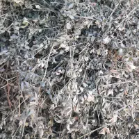 سلام فروش یونجه