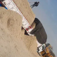 توفاله نیشکر|حیوانات مزرعه|بوئین زهرا, |دیوار