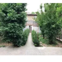 مربی و تسهیلگر کودک